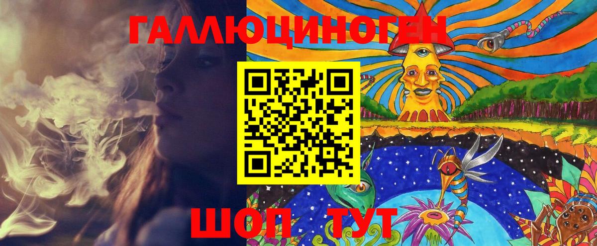 Псилоцибиновые грибы Psilocybine cubensis Павлово